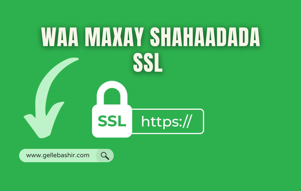 Waa maxay Shahaadada SSL iyo muhiimadda ay u leedahay website-ka