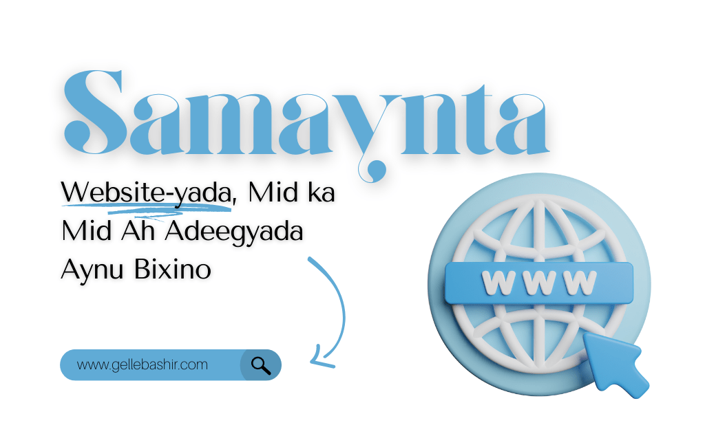 Samaynta Website-yada, Mid ka mid ah adeegyada aynu bixino