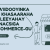 Faa'iidooyinka iyo khasaaraha uu leeyahay ganacsiga e-commerce-gu