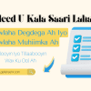 Sideed u kala saari lahayd hawlaha degdega ah iyo hawlaha muhiimka ah?