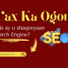 Wax Ka Ogow Sida Ay U shaqeeyaan Search Engine?