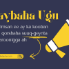 Qaybaha ugu muhiimsan ee ay ka kooban tahay qorshaha suuq-geynta elektaroonigga ah