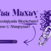 Waa Maxay Blockchain Sideese U Shaqaysaa