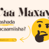 Waa maxay filashada macaamiisha?