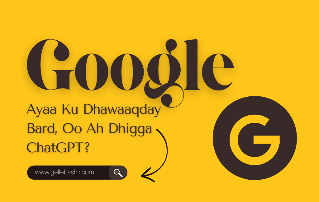 Google Ayaa Ku Dhawaaqday Bard,