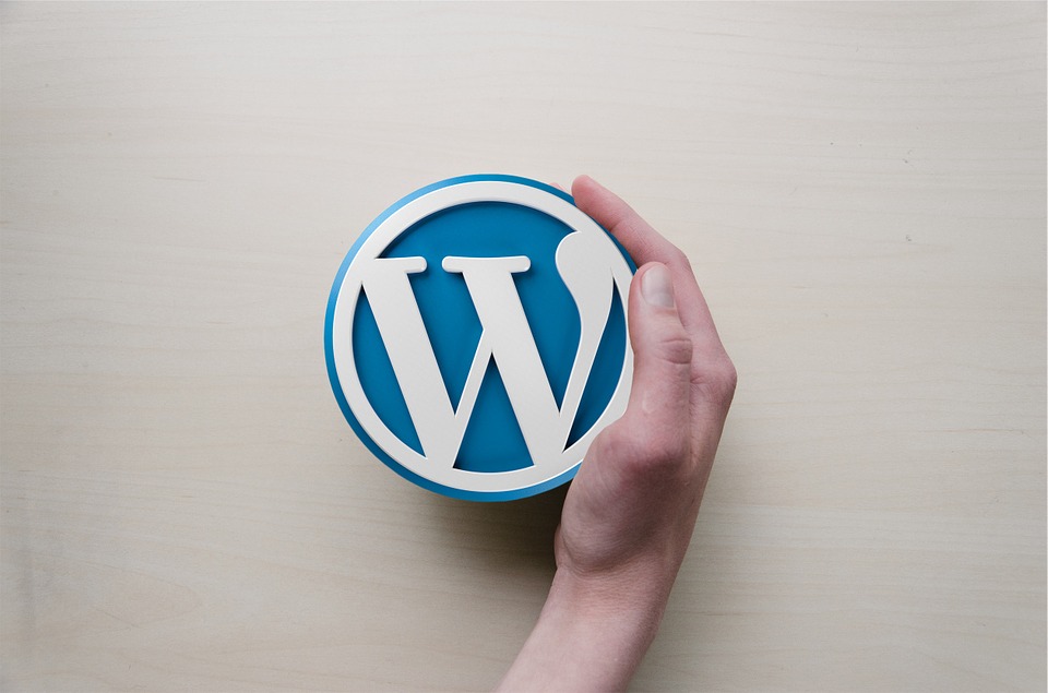 WordPress-Icon